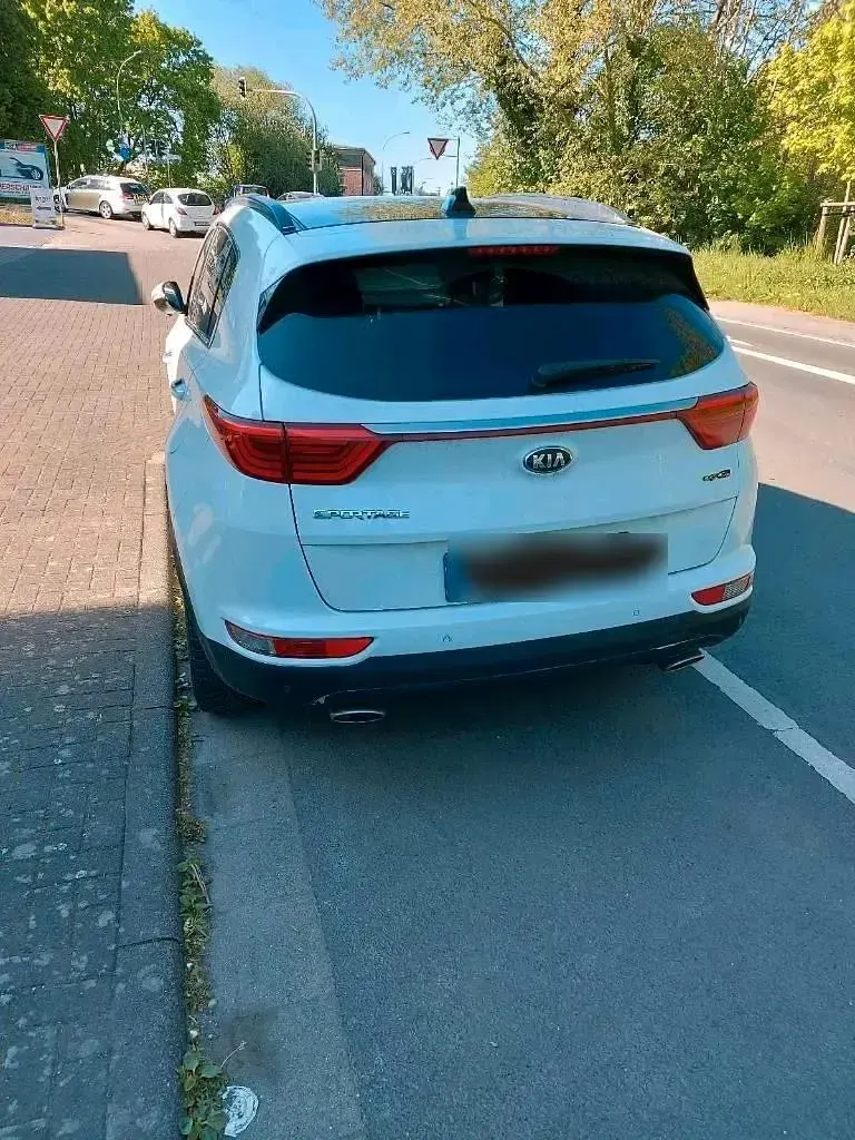 Gebraucht Kia Sportage 185 PS (136 kW) 2017 Weiß SUV