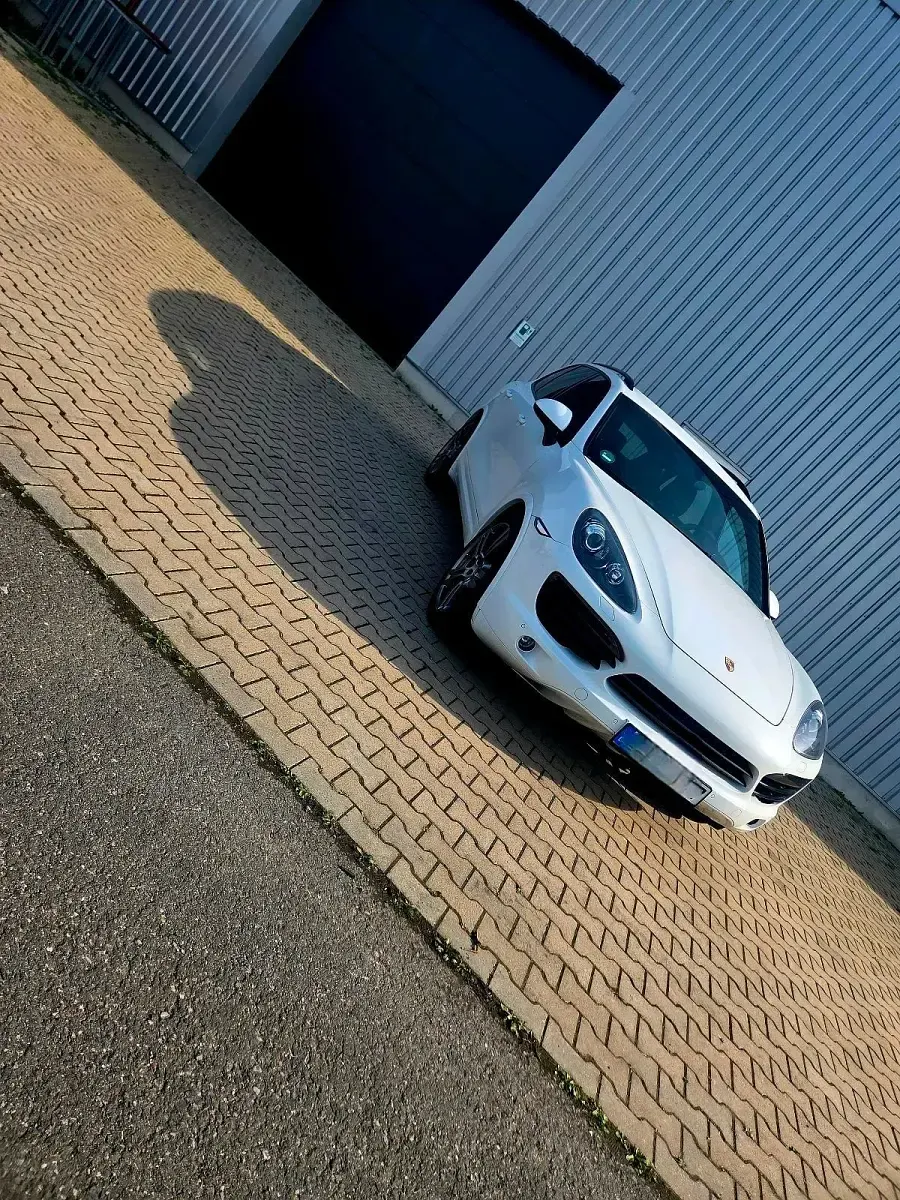 Gebraucht Porsche Cayenne 245 PS (180 kW) 2012 Weiß SUV