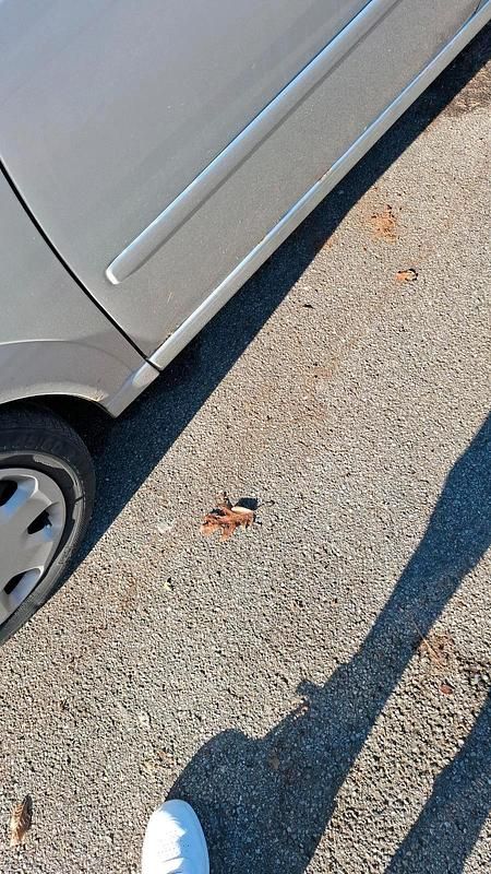 Silber Gebraucht 2005 Opel Meriva Edition Van / Kleinbus | 1.777 € (Guter Preis) - Bild 1/4