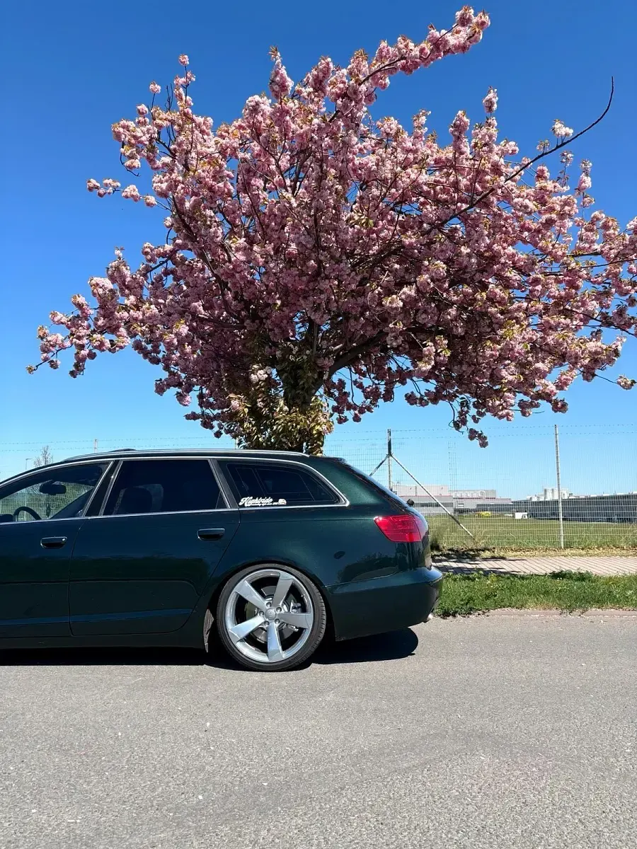 Gebraucht Audi A6 S-line plus 179 PS (131 kW) 2008 Grün Kombi