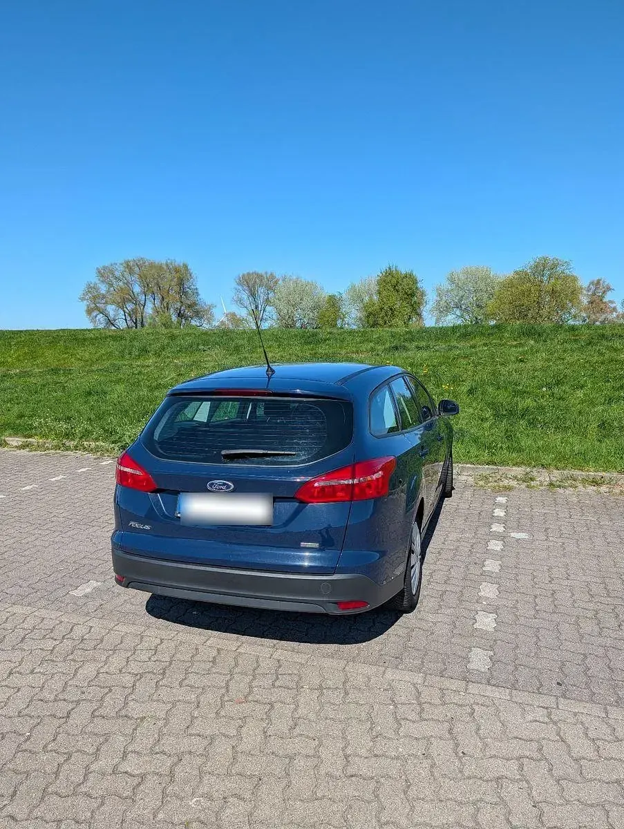 Usado Ford Focus Trend 125 CV (91 kW) 2015 Azul Familiar