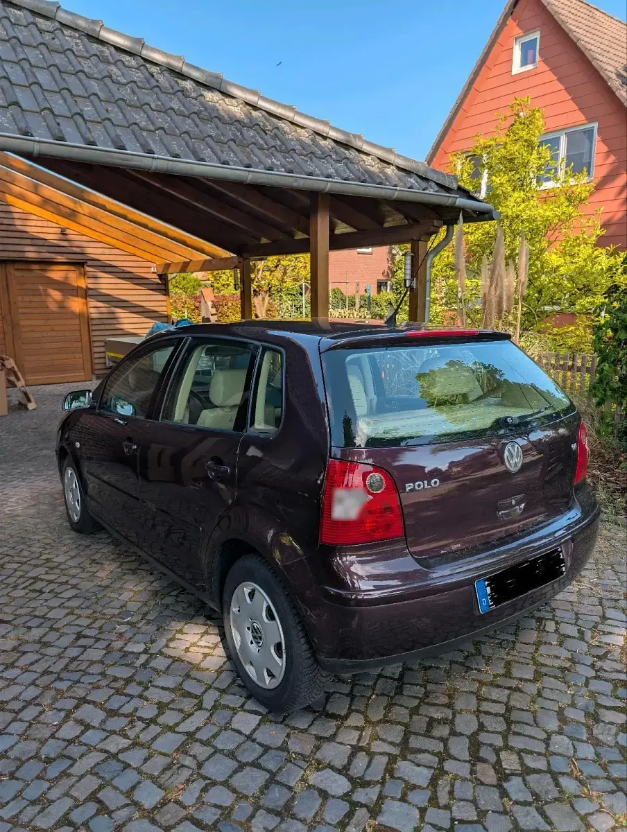 Gebraucht VW Polo 75 PS (55 kW) 2002 Violet Kleinwagen