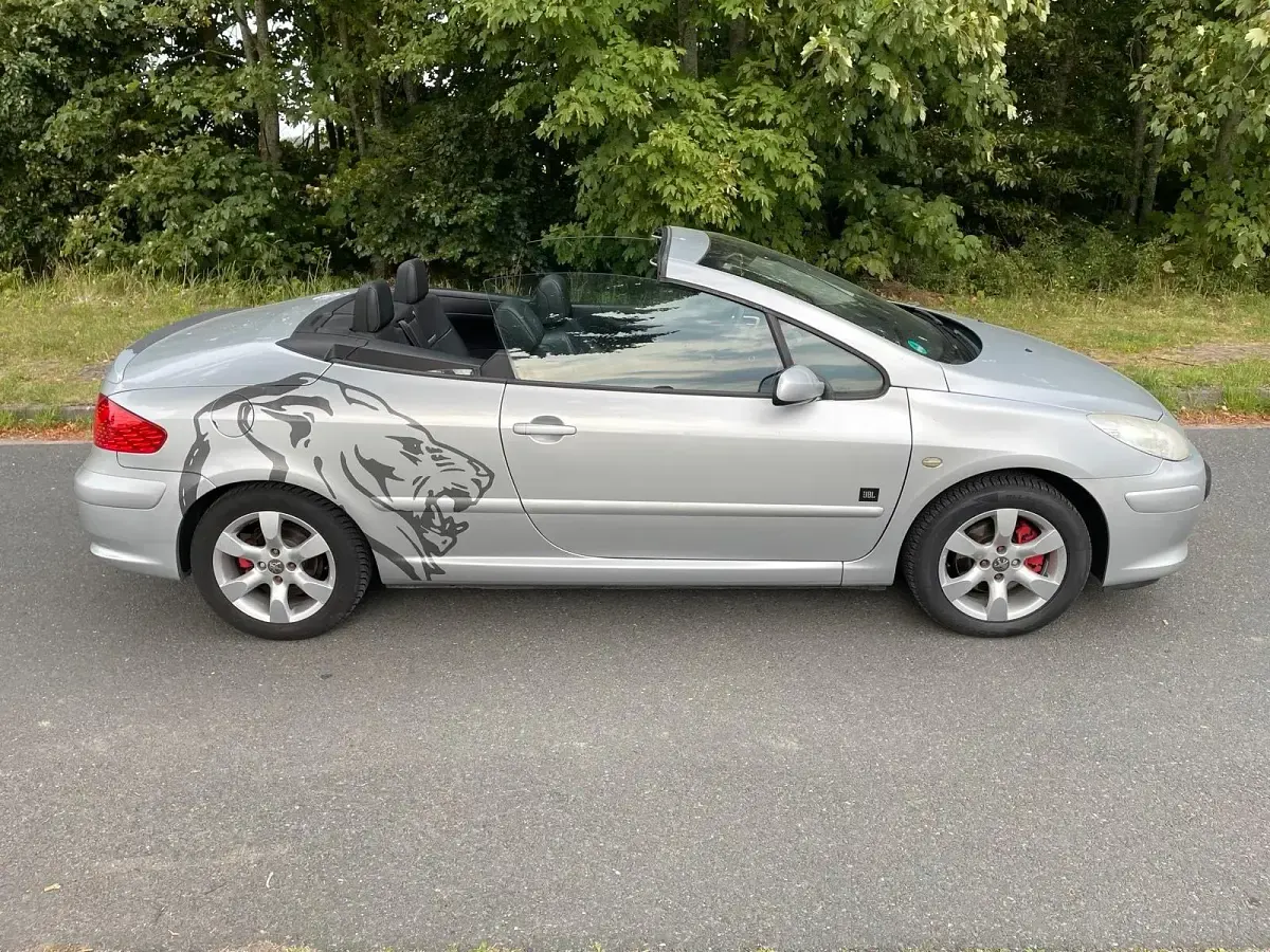 Gebraucht Peugeot 307 CC 140 PS (102 kW) 2008 Silber Cabrio