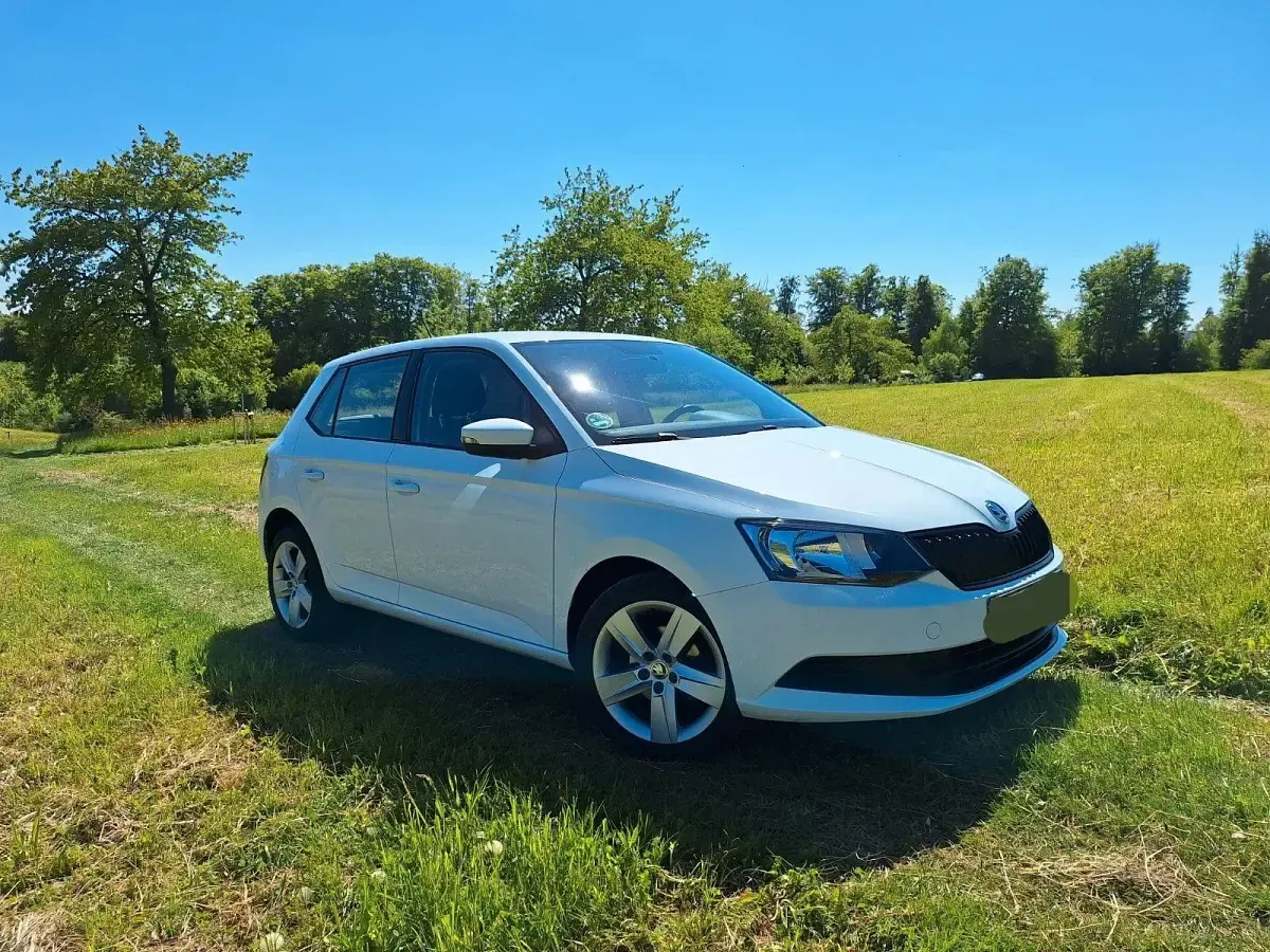 Gebraucht Skoda Fabia Cool Edition 60 PS (44 kW) 2017 Weiß Kleinwagen