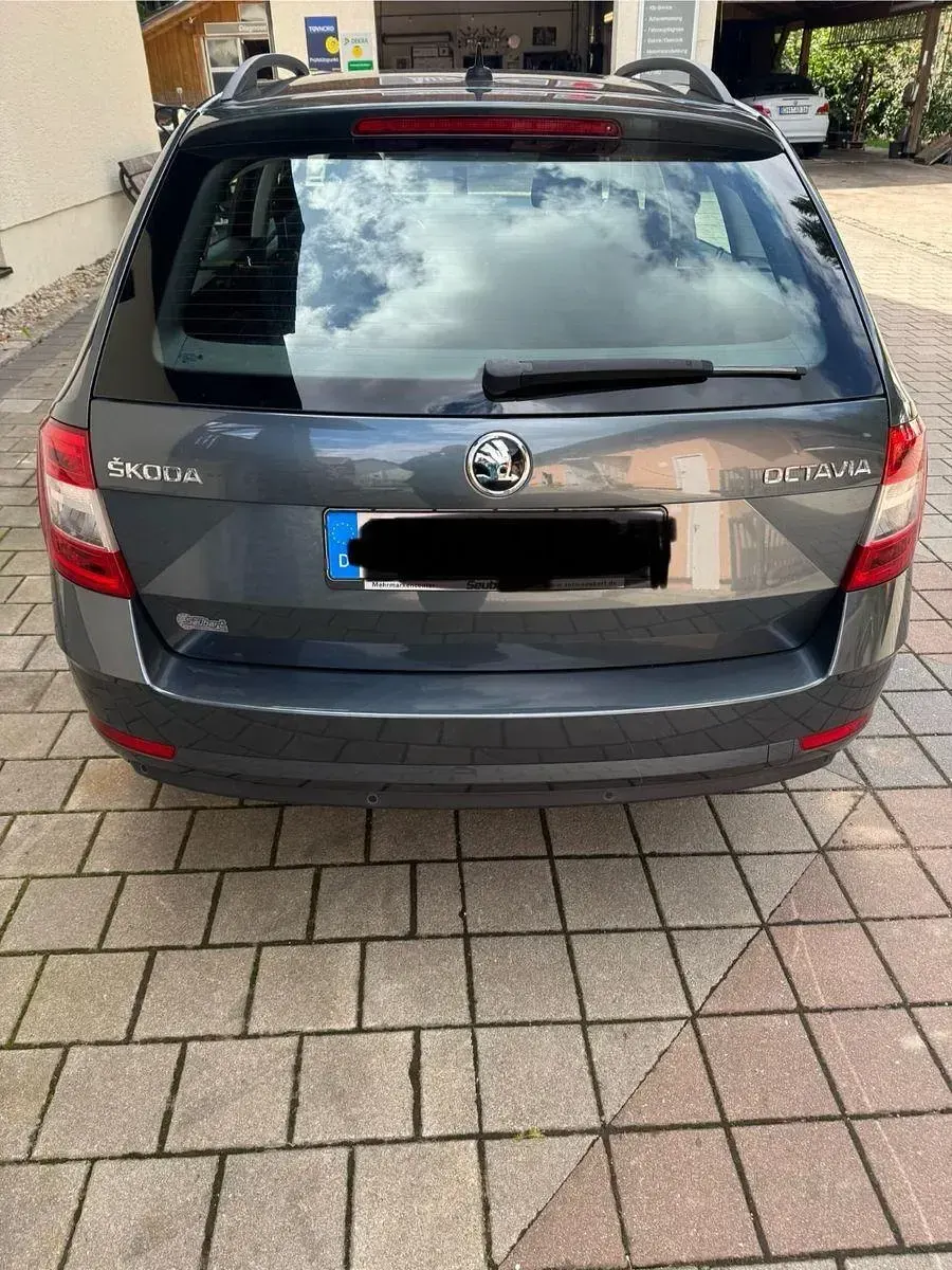 Gebraucht Skoda Octavia Ambition 150 PS (110 kW) 2020 Grau Kombi