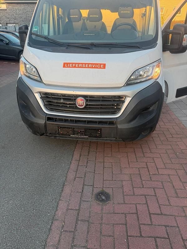 Second-hand Fiat Ducato 2019 Alb Van
