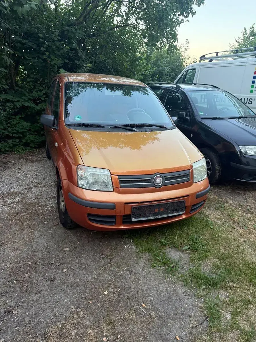 Gebraucht Fiat Panda 2009 Gold Kleinwagen