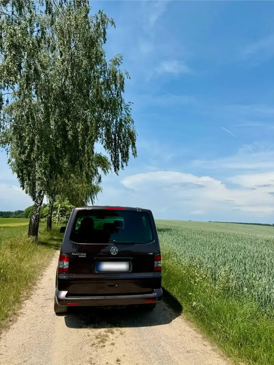 Gebraucht VW Multivan Edition 130 PS (95 kW) 2006 Braun Van / Kleinbus