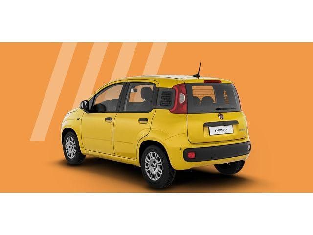 Neu Fiat Panda Icon 69 PS (50 kW) 2025 Positano gelb Kleinwagen