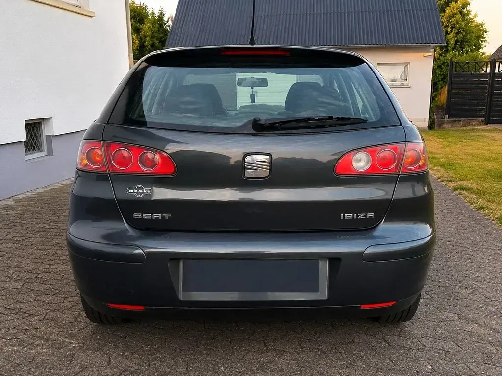 Gebraucht Seat Ibiza 75 PS (55 kW) 2005 Grau Kleinwagen