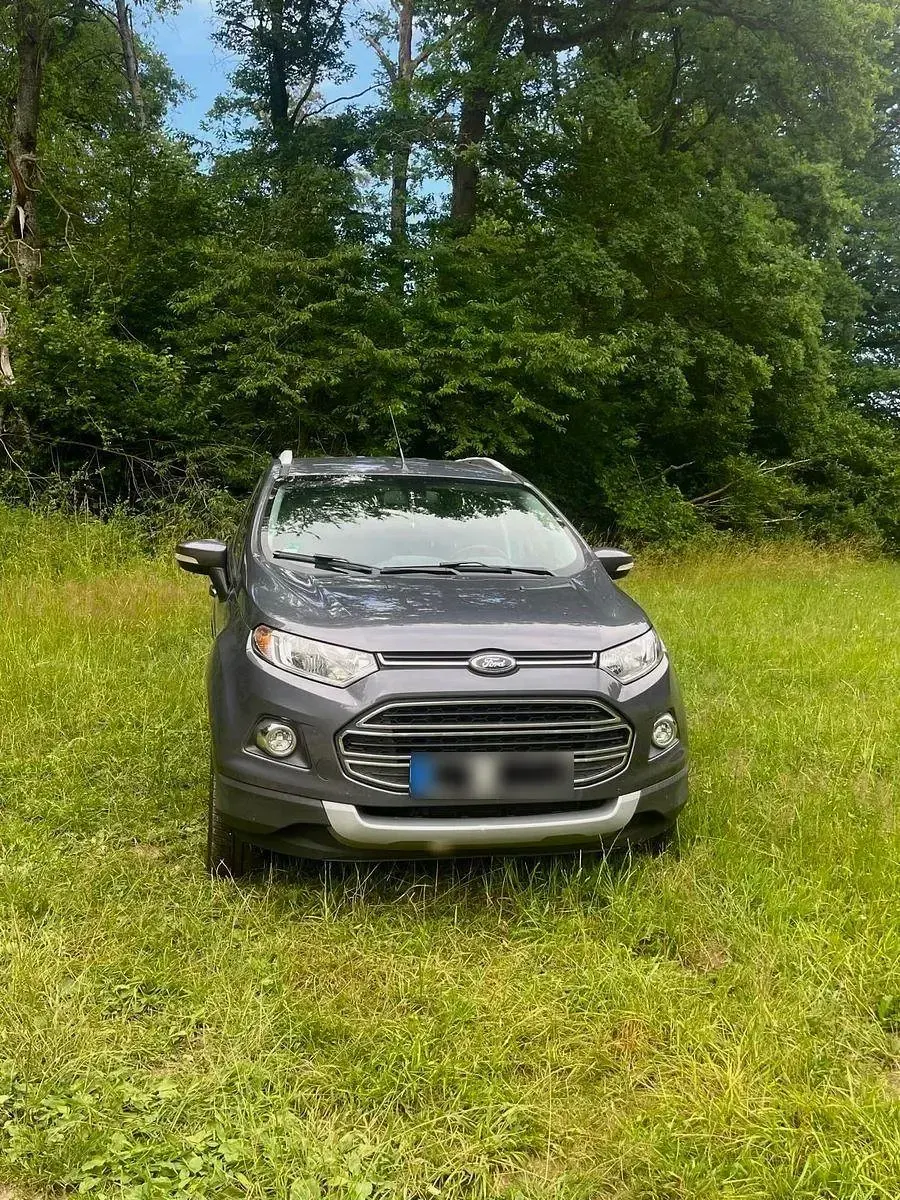Gebraucht Ford Ecosport Titanium 125 PS (91 kW) 2015 Grau SUV
