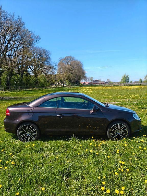 Occasion VW Eos Exclusive 140 PK (102 kW) 2007 Paars Cabriolet