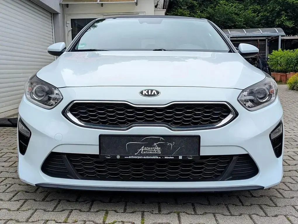 Gebraucht Kia Ceed Vision 140 PS (102 kW) 2019 Carraraweiß Kleinwagen