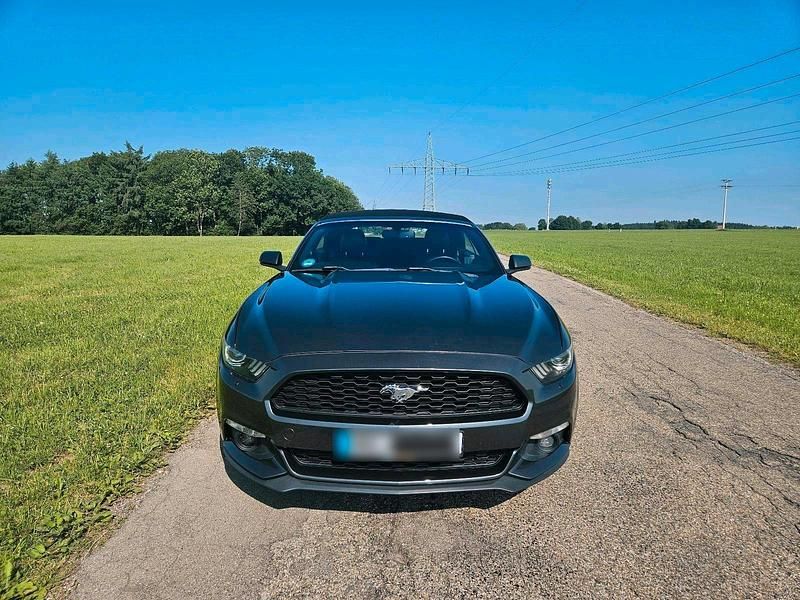 Gebraucht Ford Mustang 317 PS (233 kW) 2016 Grau Cabrio