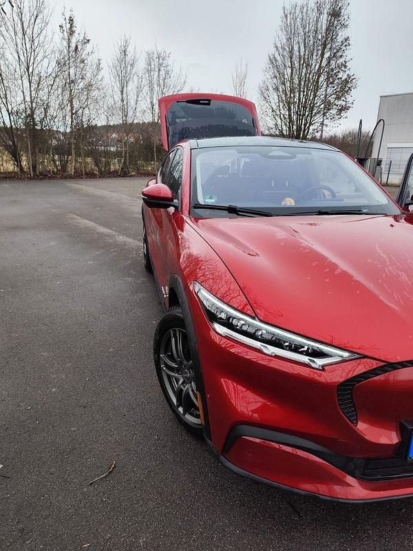 Usata Ford Mustang Mach-E 197 kW (269 CV) 2021 Rosso SUV