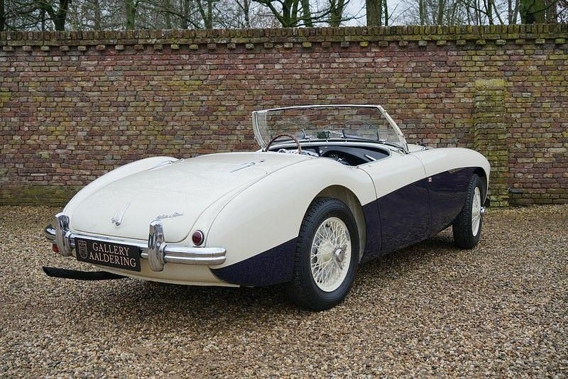 Gebraucht Austin Healey 100 1955 Weiß Cabrio