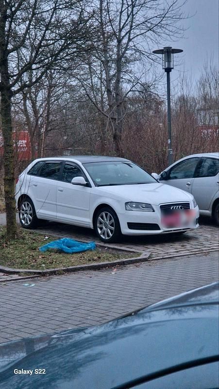 Gebraucht Audi A3 160 PS (117 kW) 2008 Weiß Kleinwagen