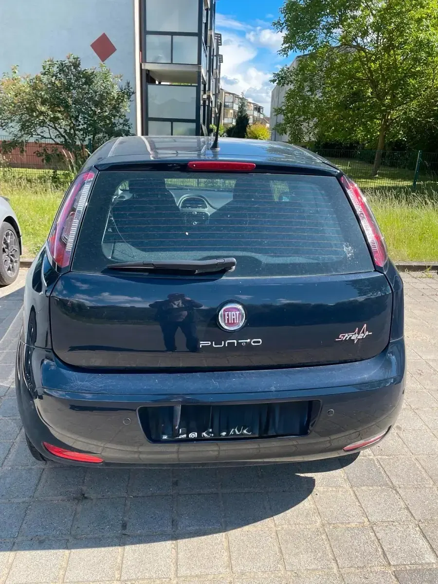 Gebraucht Fiat Punto 69 PS (50 kW) 2014 Blau Kleinwagen