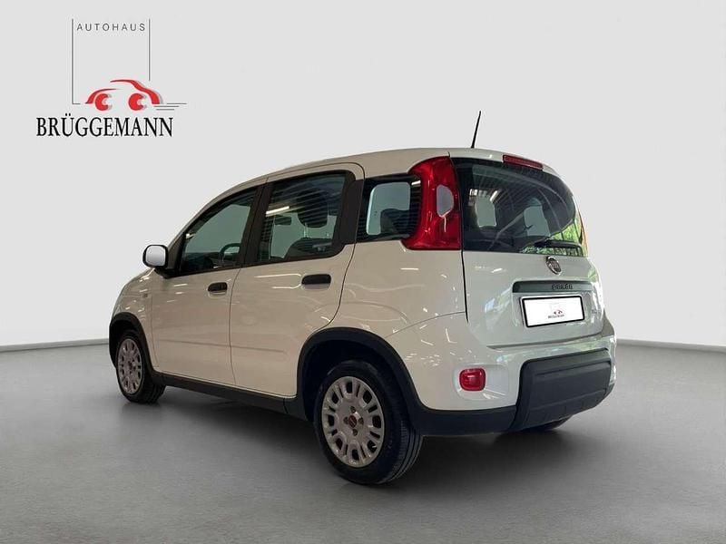 Gebraucht Fiat Panda 69 PS (50 kW) 2023 Weiß Kleinwagen