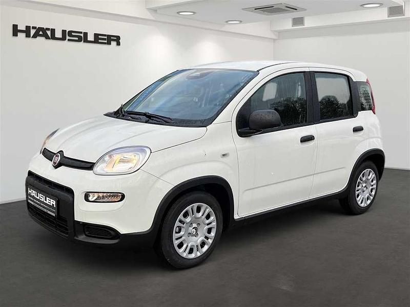 Gelato weiß Gebraucht 2024 Fiat Panda Kleinwagen | 14.990 € (Etwas zu teuer) - Bild 1/4