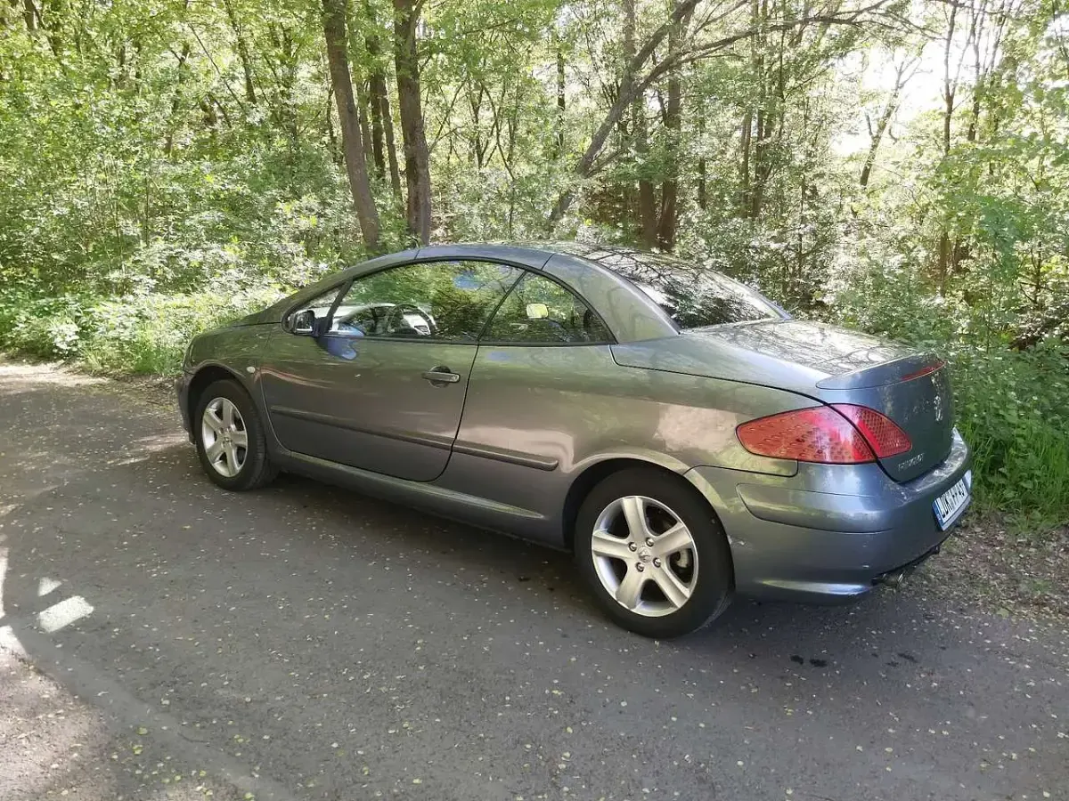 Gebraucht Peugeot 307 CC Filou 109 PS (80 kW) 2005 Cabrio
