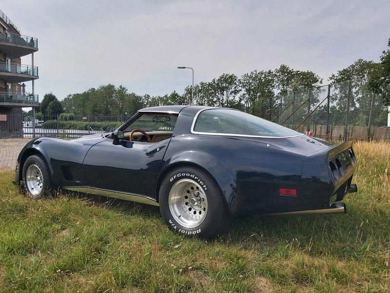 Gebraucht Chevrolet Corvette 272 PS (200 kW) 1979 Grün