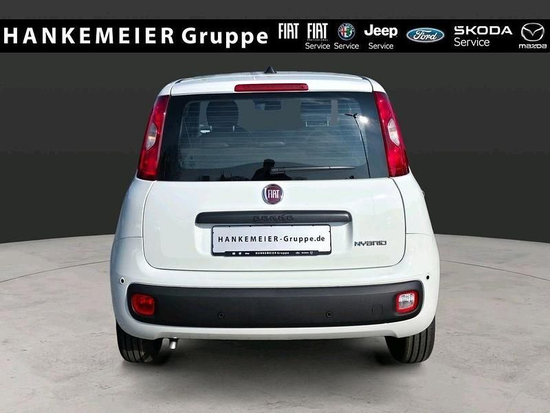 Neu Fiat Panda Icon 65 PS (47 kW) 2026 Weiß Kleinwagen