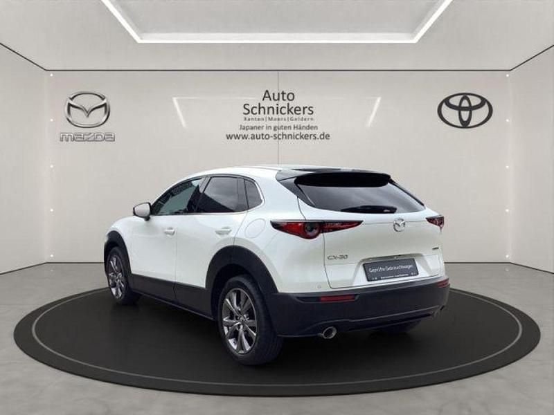 Gebraucht Mazda CX-30 Selection 186 PS (136 kW) 2023 Weiß SUV
