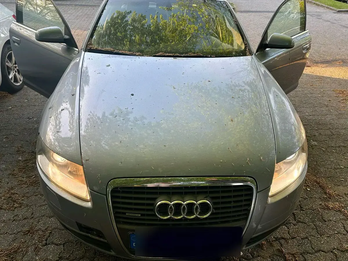 Second-hand Audi A6 180 CP (132 kW) 2006 Gri Break