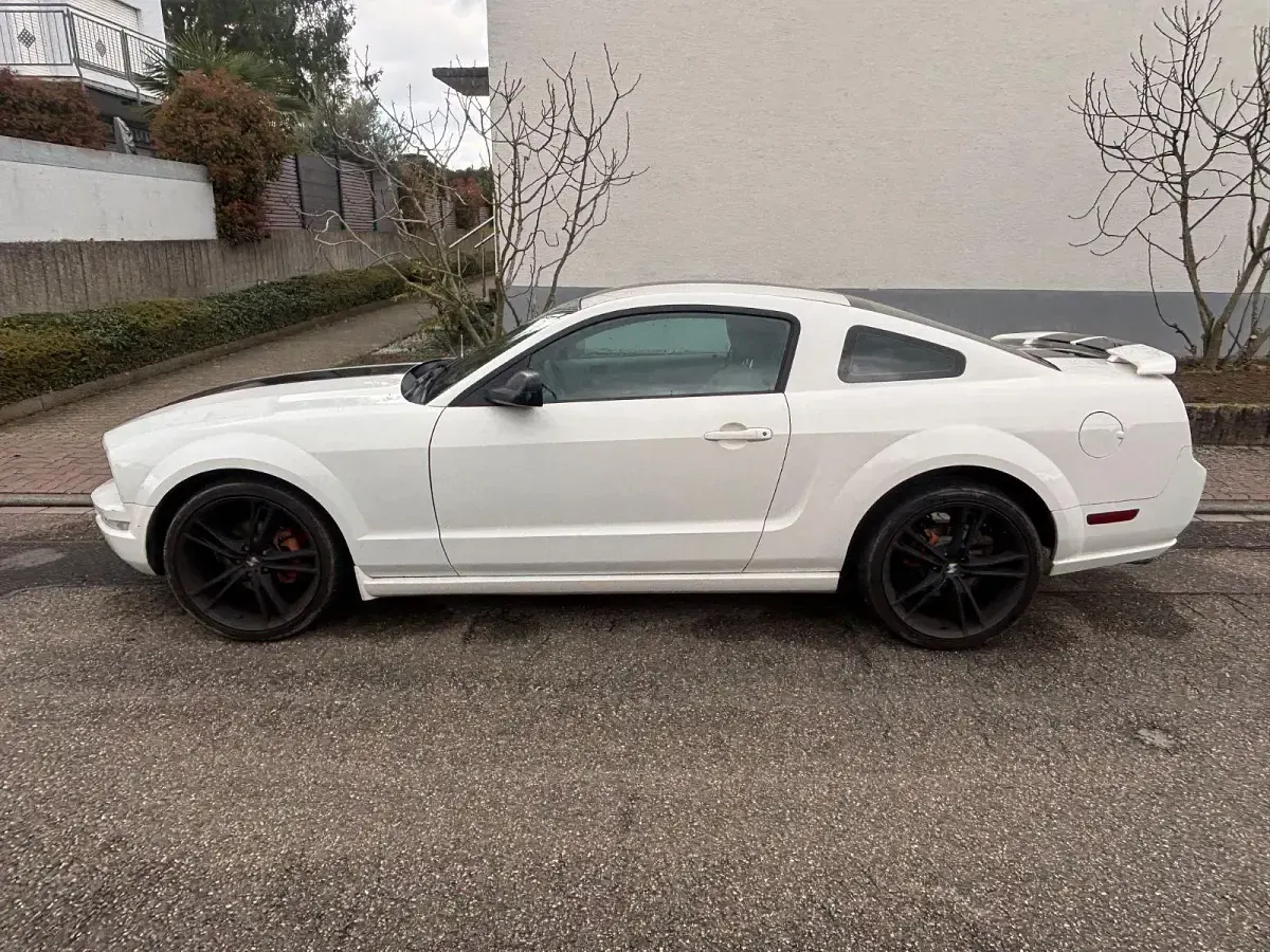 Occasion Ford Mustang 213 ch (156 kW) 2006 Blanc Coupé