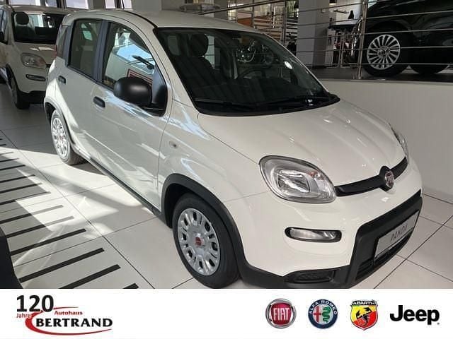 Weiss) (weiss Neu 2024 Fiat Panda Kleinwagen | 13.950 € (Fairer Preis) - Bild 1/4