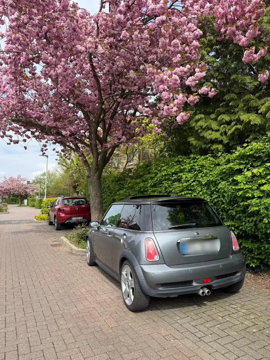 Gebraucht Mini Cooper S 170 PS (125 kW) 2005 Grau Kleinwagen