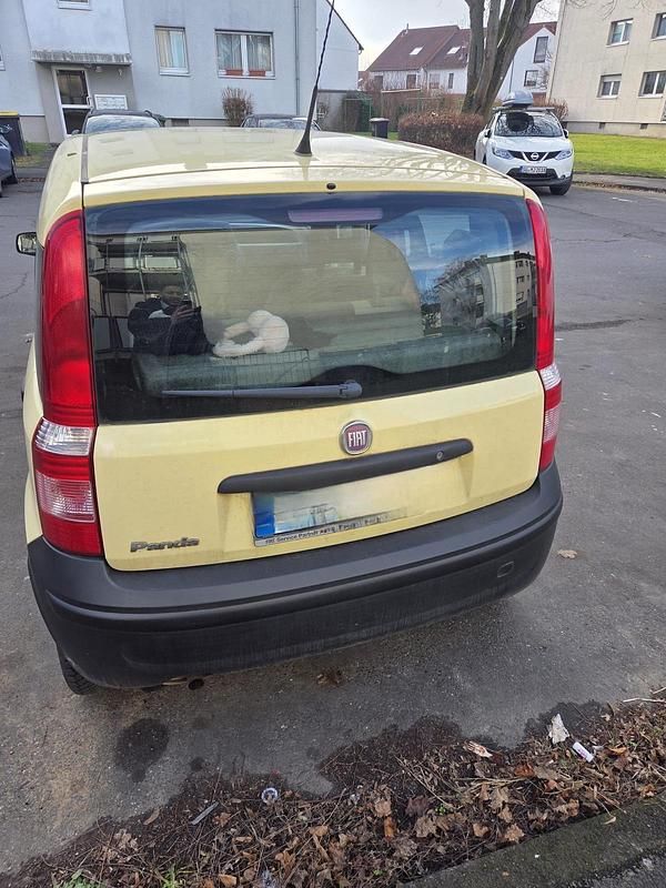 Gebraucht Fiat Panda 60 PS (44 kW) 2009 Gelb Kleinwagen