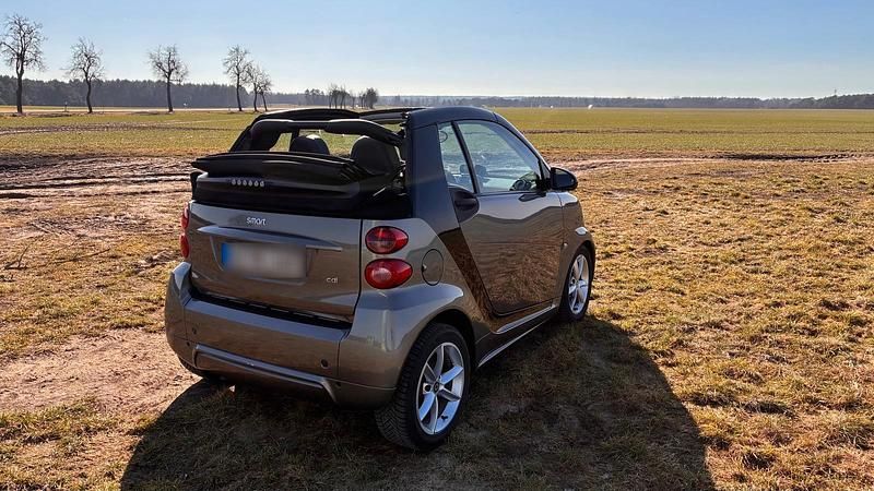 Gebraucht Smart ForTwo Cabrio 54 PS (39 kW) 2011 Braun Cabrio
