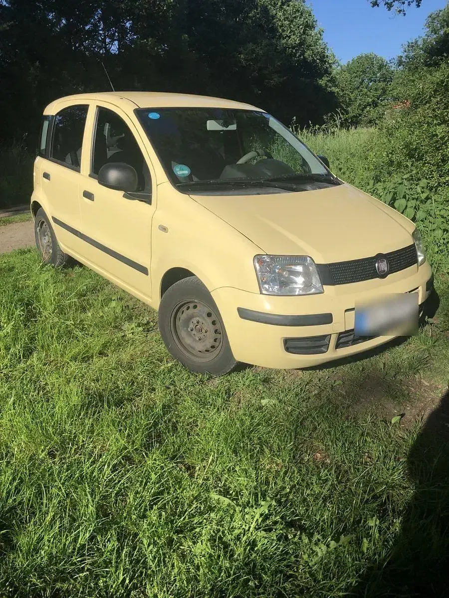 Gebraucht Fiat Panda 69 PS (50 kW) 2012 Gelb Kleinwagen