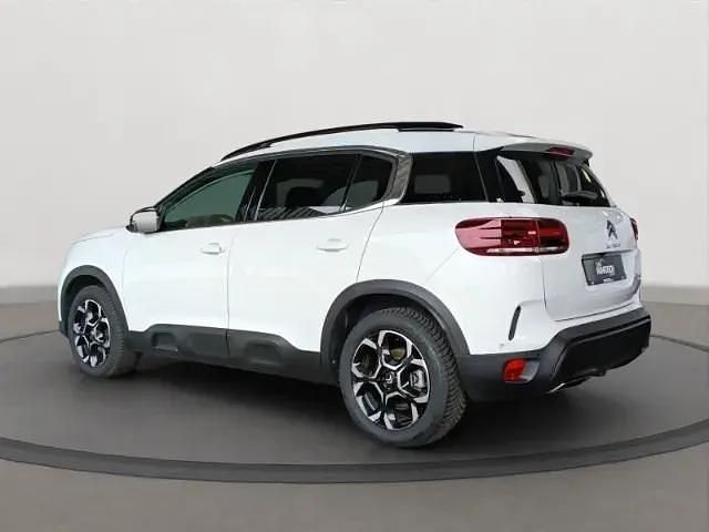 Gebraucht Citroën C5 Aircross 96 PS (70 kW) 2023 Weiß SUV