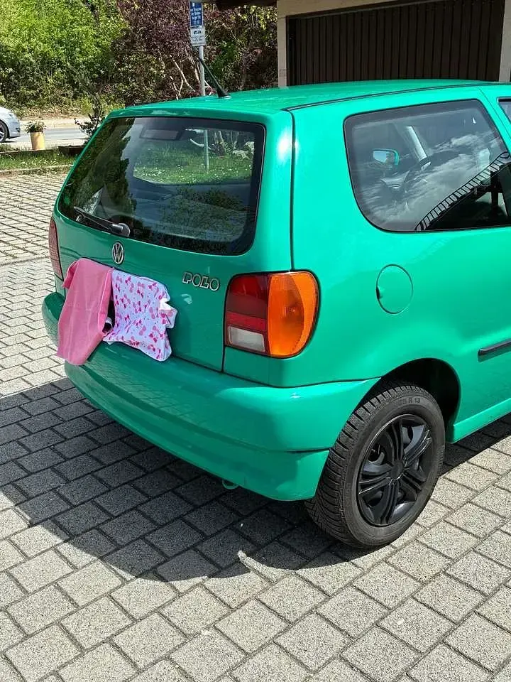 Usata VW Polo 75 CV (55 kW) 1997 Verde Berlina