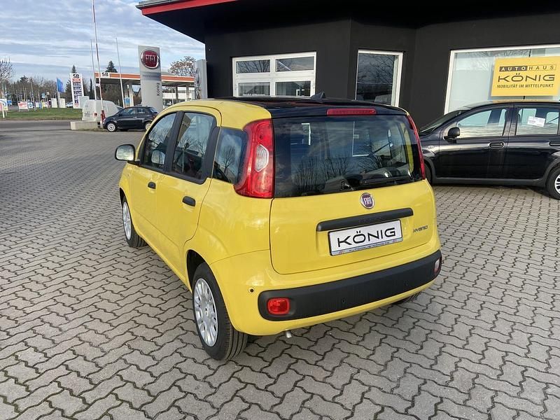 Neu Fiat Panda 69 PS (50 kW) 2025 Gelb Kleinwagen
