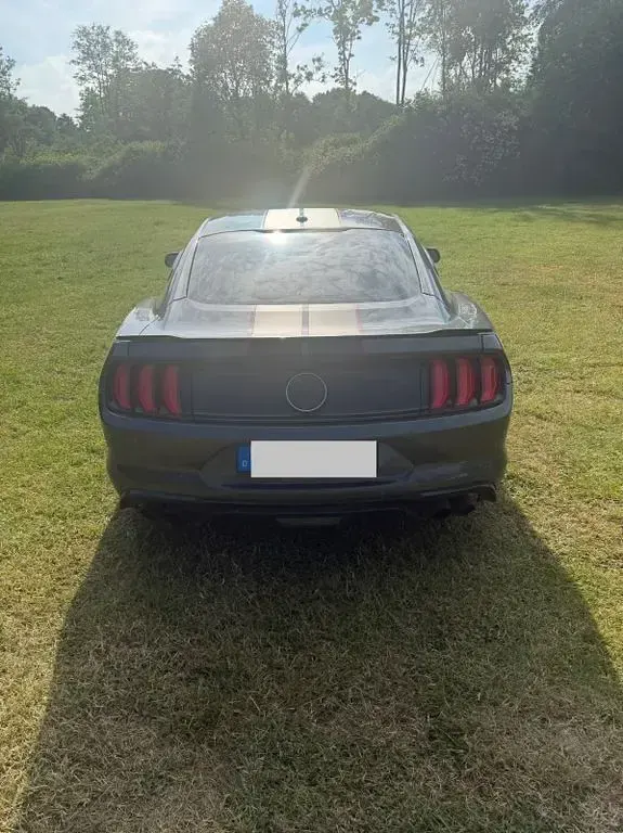 Gebraucht Ford Mustang 421 PS (309 kW) 2018