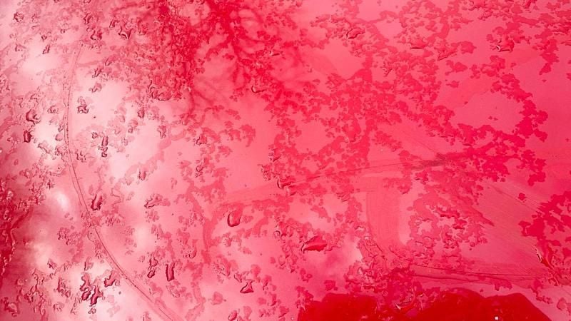 Gebraucht Renault Clio II 2009 Andere farben Kleinwagen