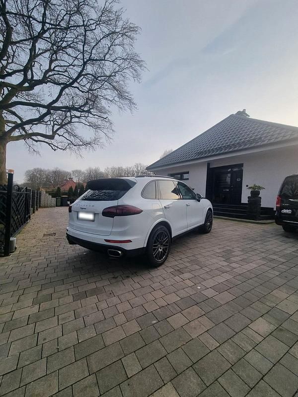 Gebraucht Porsche Cayenne Platinum Edition 262 PS (192 kW) 2016 Weiß SUV