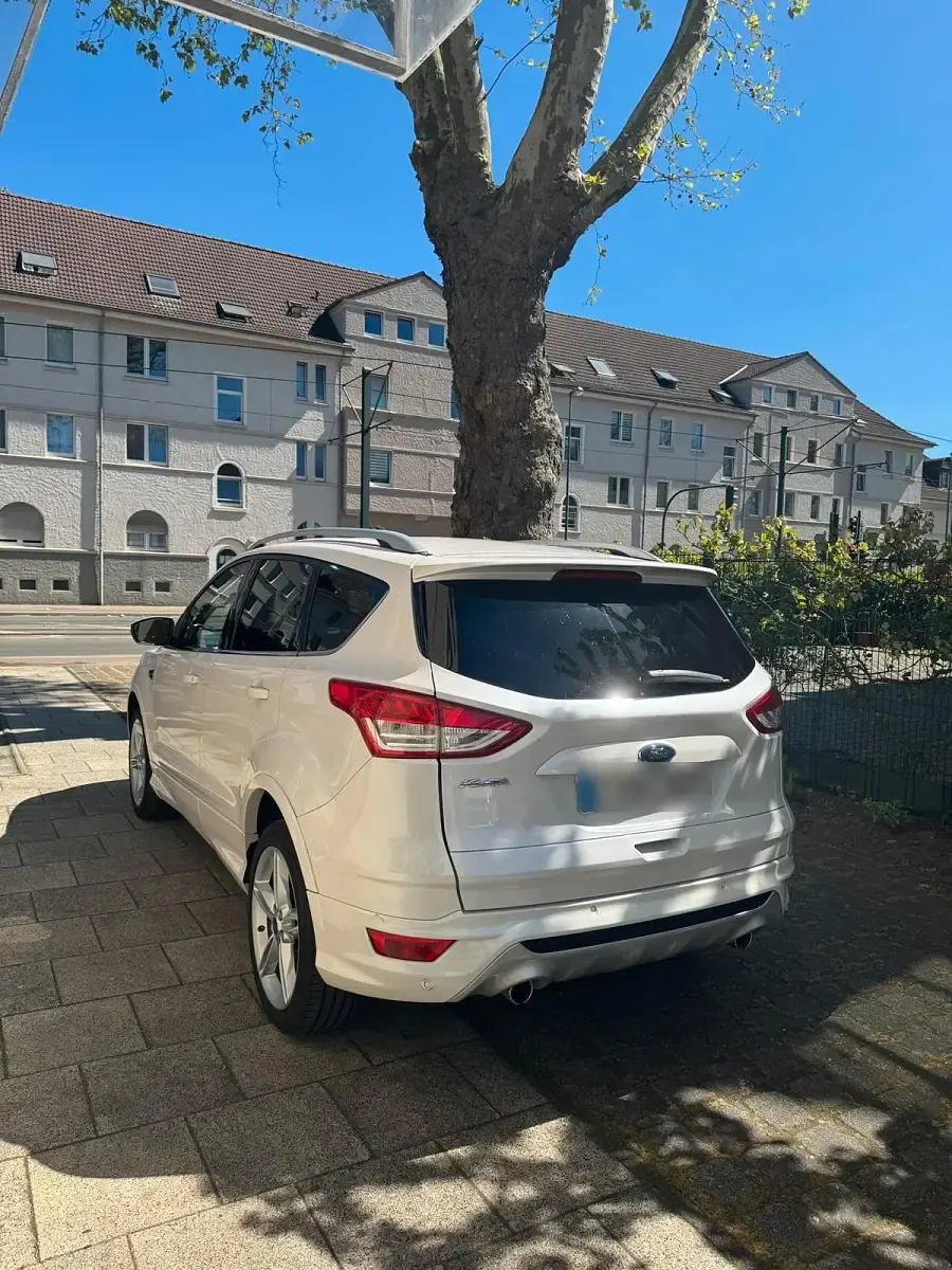 Gebraucht Ford Kuga 180 PS (132 kW) 2016 Weiß SUV