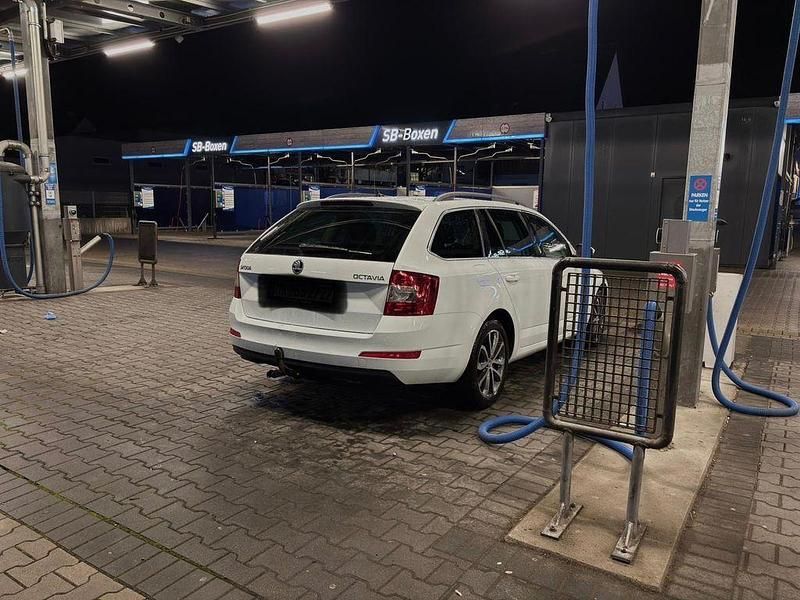 Gebraucht Skoda Octavia 150 PS (110 kW) 2015 Weiß Kleinwagen