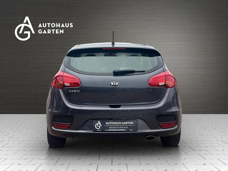 Gebraucht Kia Ceed Edition 7 99 PS (72 kW) 2017 Grau Kleinwagen