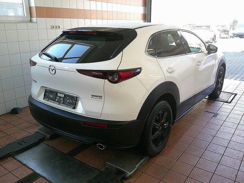 Gebraucht Mazda CX-30 Selection 150 PS (110 kW) 2022 Weiß SUV