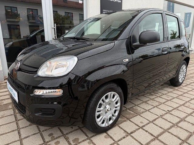 Neu Fiat Panda 69 PS (50 kW) 2025 Schwarz Limousine