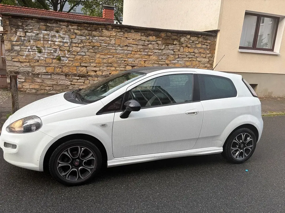 Gebraucht Fiat Punto 68 PS (50 kW) 2013 Weiß Kleinwagen