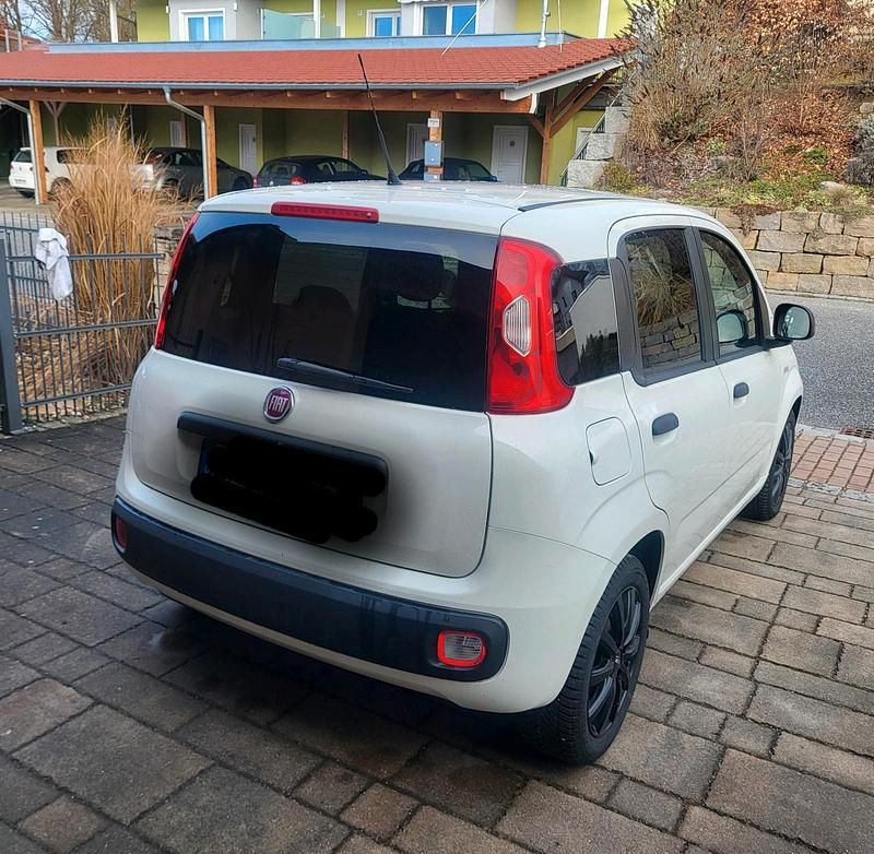 Gebraucht Fiat Panda Young 69 PS (50 kW) 2014 Weiß Kleinwagen