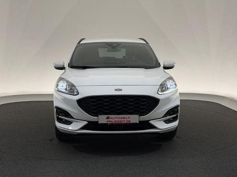 Gebraucht Ford Kuga ST-Line X 152 PS (111 kW) 2023 Weiß SUV