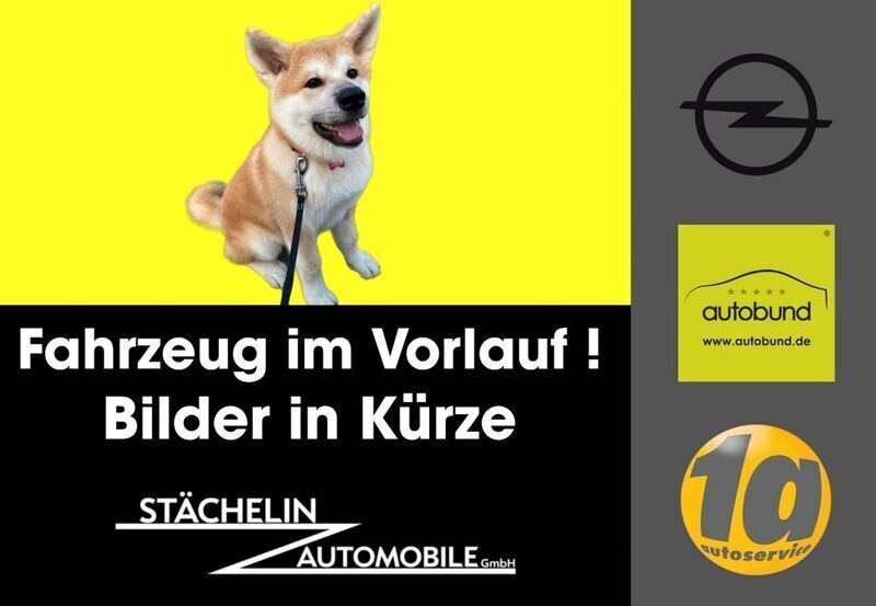 Weiß Gebraucht 2020 Opel Grandland X SUV | 17.480 € (Fairer Preis) - Bild 1/4